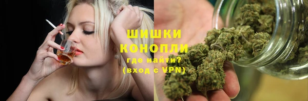 дживик Абаза
