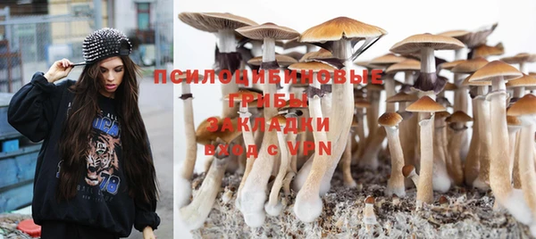мескалин Вуктыл