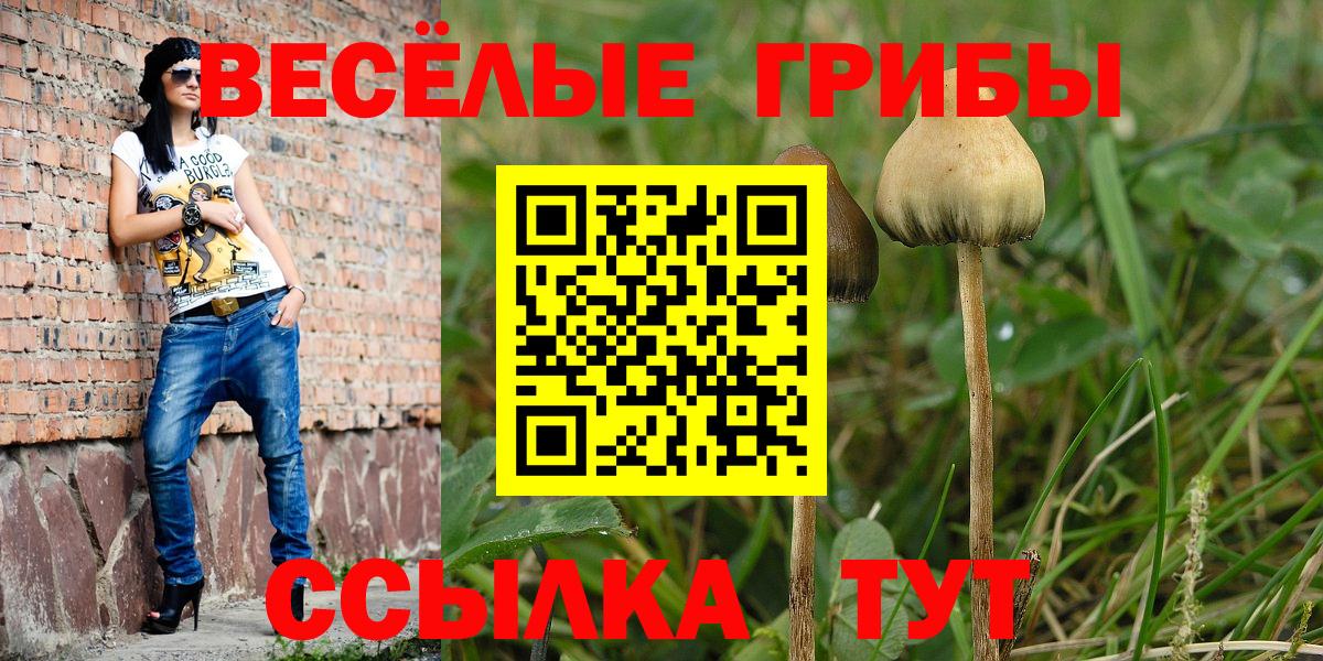 Псилоцибиновые грибы Magic Shrooms  Вход с VPN  Галлюциногенные грибы мухоморы  Карталы 